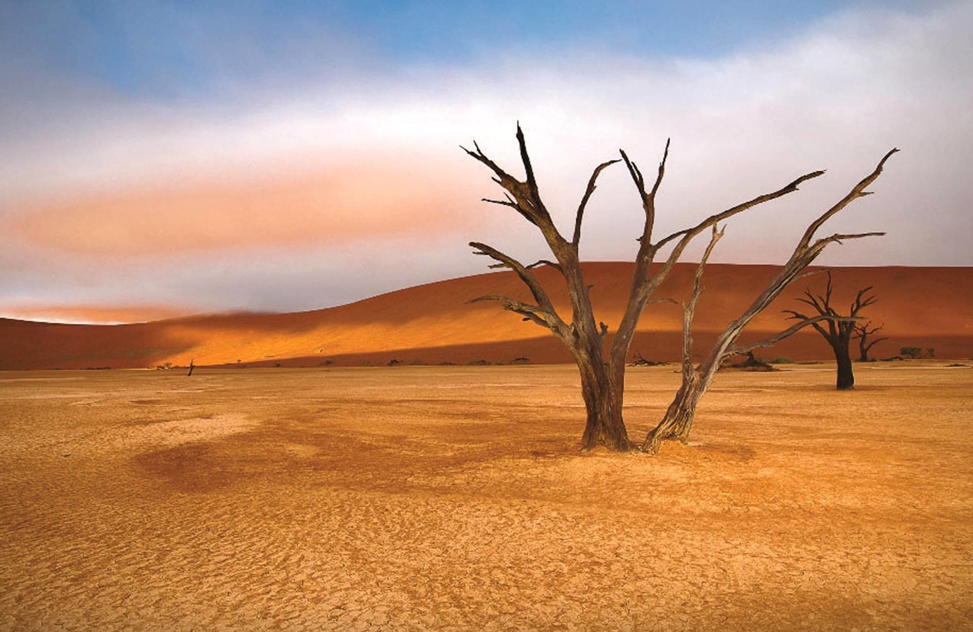 Deadvlei